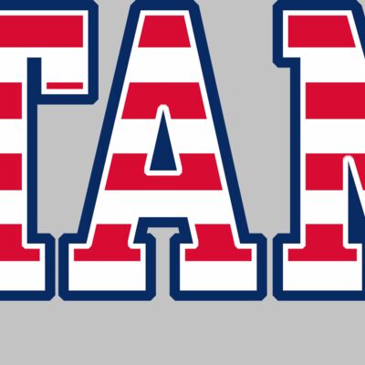 Untamed Baseball USA Flag Thumbnail