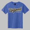 Youth Softstyle ® T Shirt Thumbnail