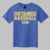 Youth Softstyle ® T Shirt Thumbnail